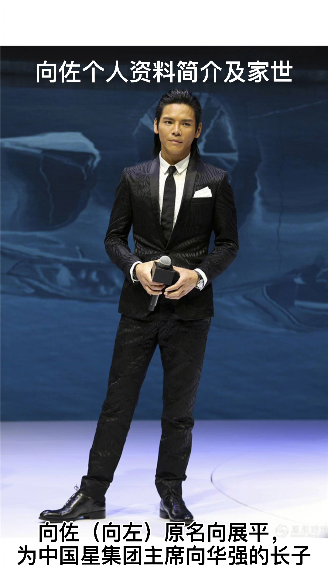 向佐个人资料及家世