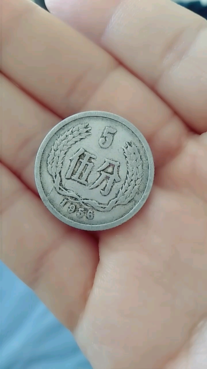 五分钱1956年的有收藏价值了啊!
