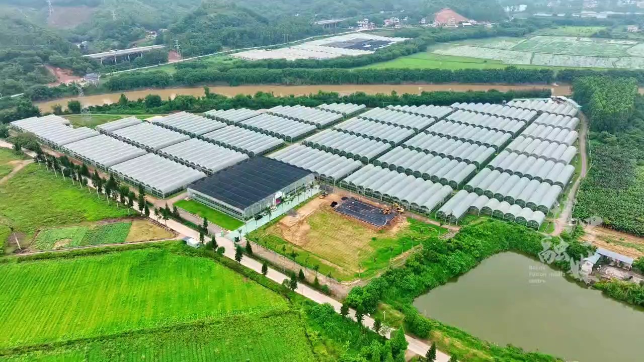 现代农业科技#农业产业园项目,公司经典温室大棚案例