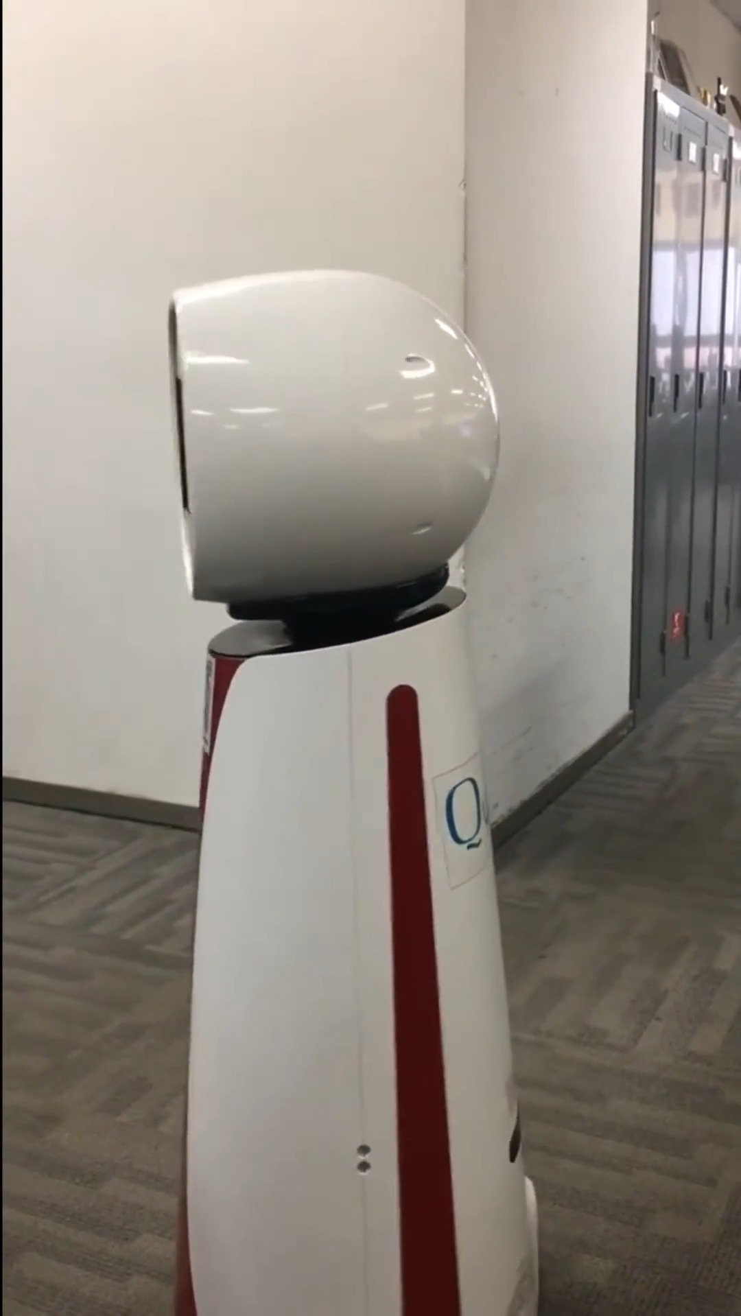 娱乐#智能机器人快宝生气了,心里突然好慌,它会不会记我的仇