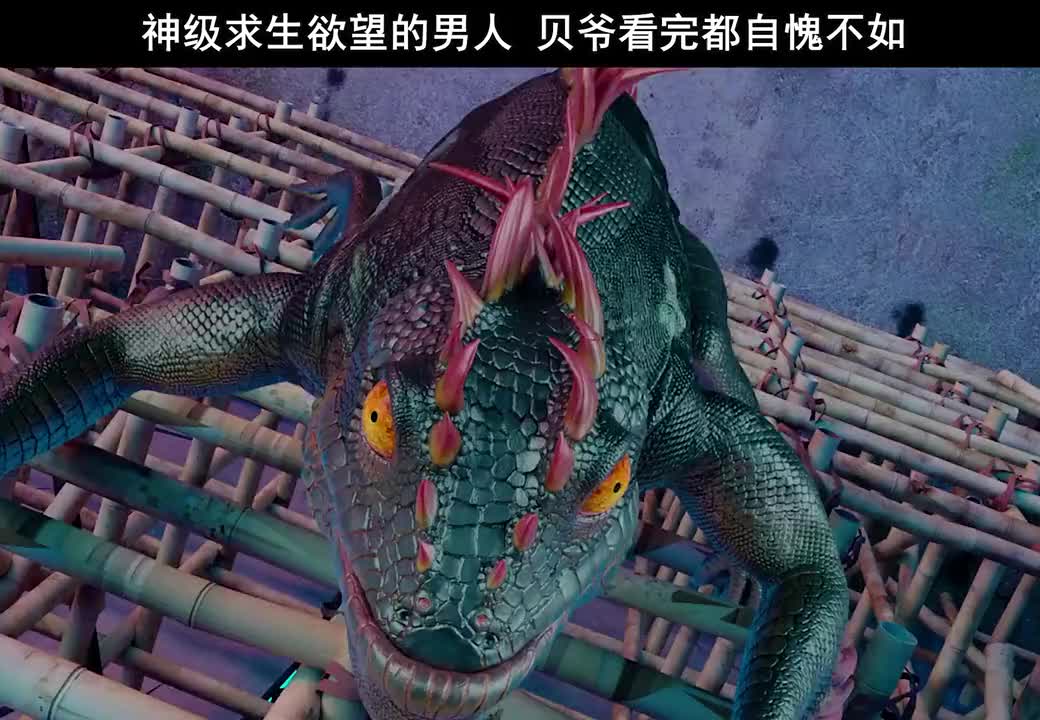 我要上热门#蜥蜴:反人类行为,到底是你变异了还是我变异了?