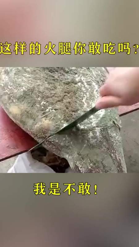 搞笑段子#这火腿表面都发霉了,怕是坏掉不能吃了!