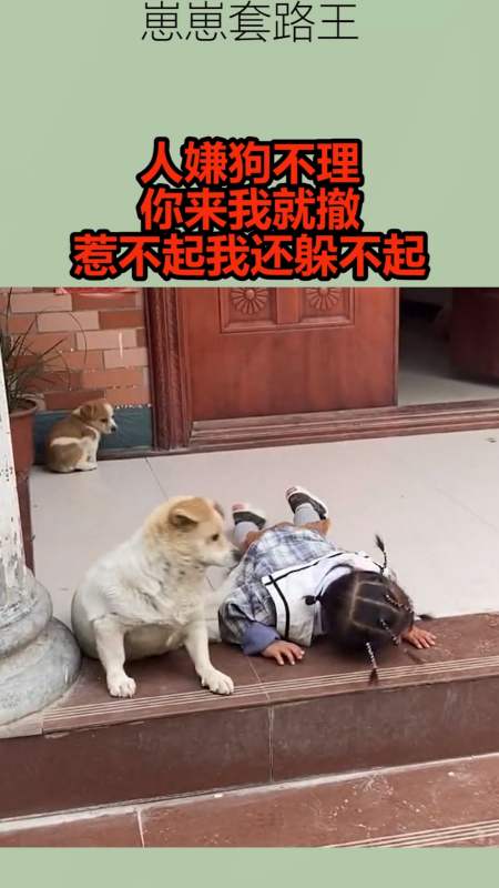 你来我就撤,惹不起我还躲不起