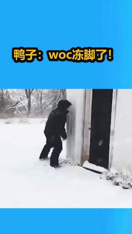 搞笑动物#鸭子:woc冻脚了!