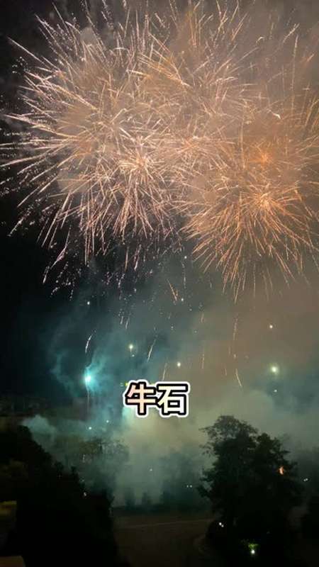 湖南烟花王子哥 1.61万粉丝 5条评论 0/100 回复