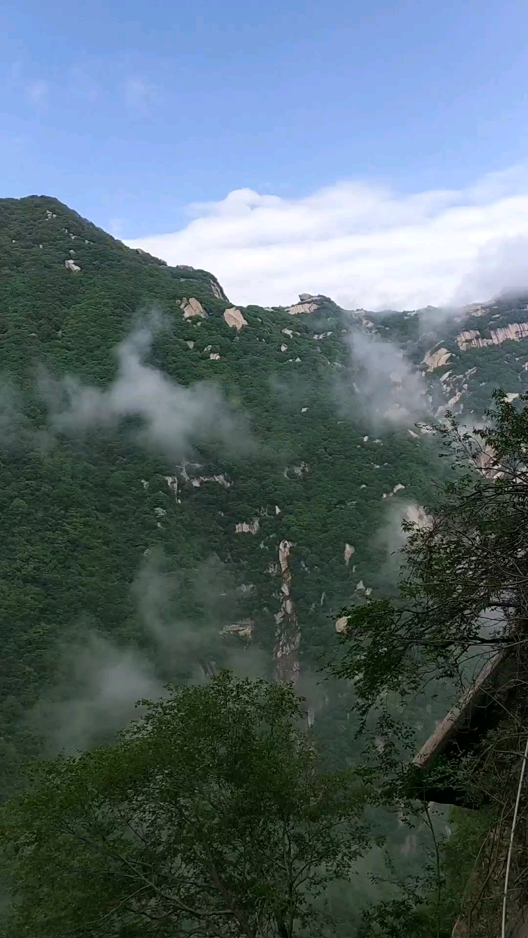 静看云卷云舒