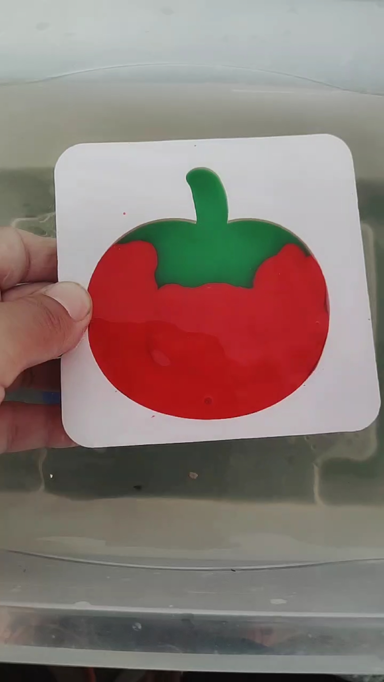 手工作品#西红柿