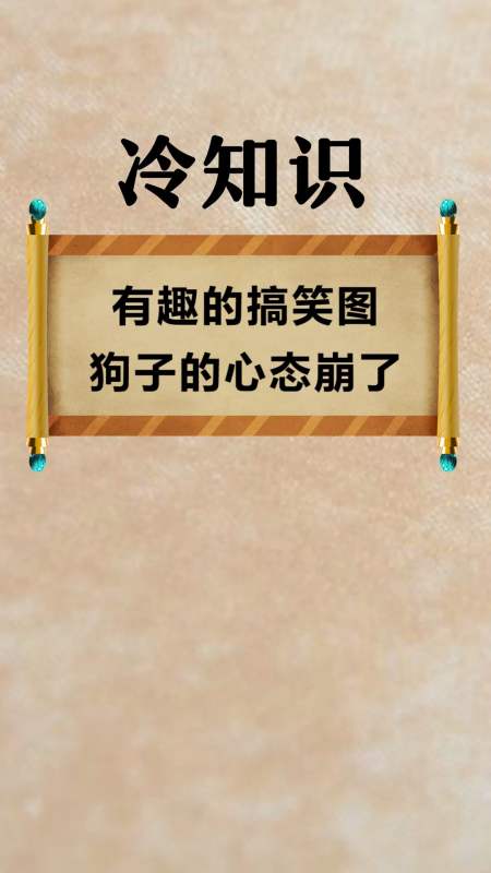 每天一點冷知識#有趣的搞笑圖,圖四一臉生無可戀,狗子的心態崩了