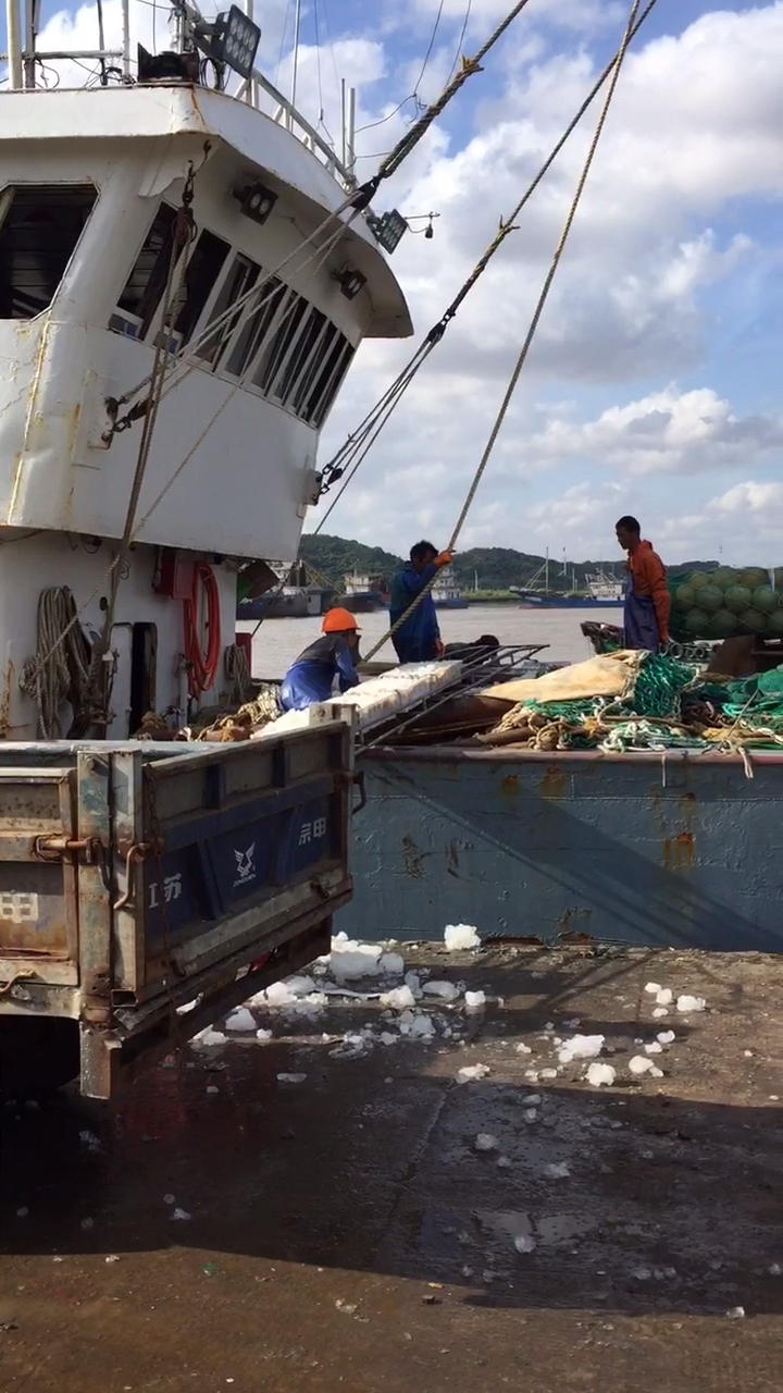 渔船忙着卸货