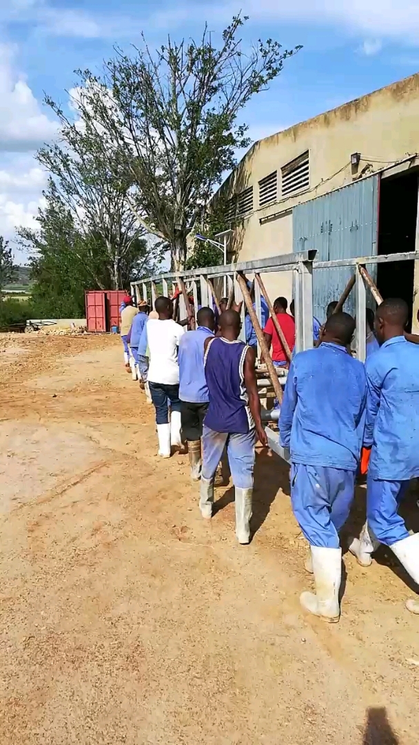 你见过这么多人抬东西的吗!