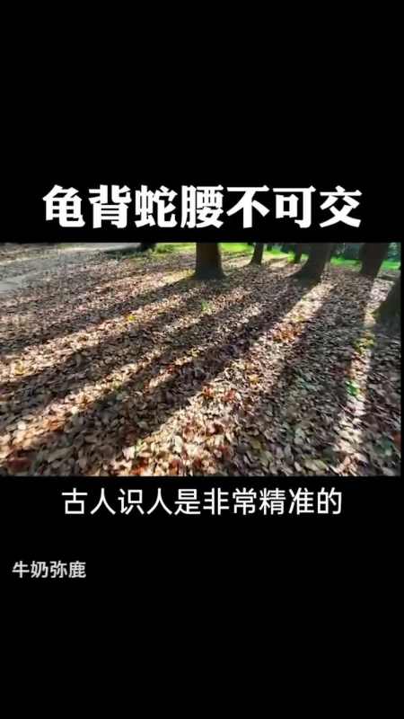 人生感悟:龟背蛇腰不可交,斜眼看人不用刀