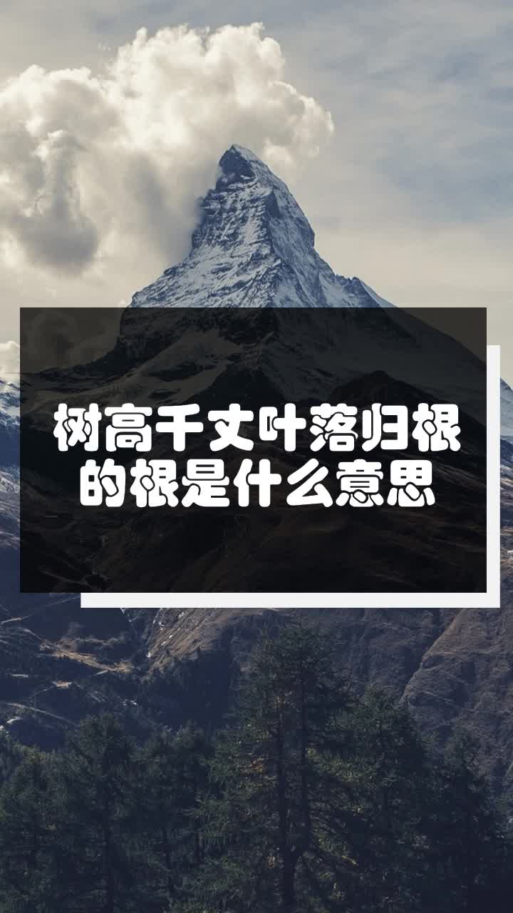 树高千丈叶落归根的根是什么意思