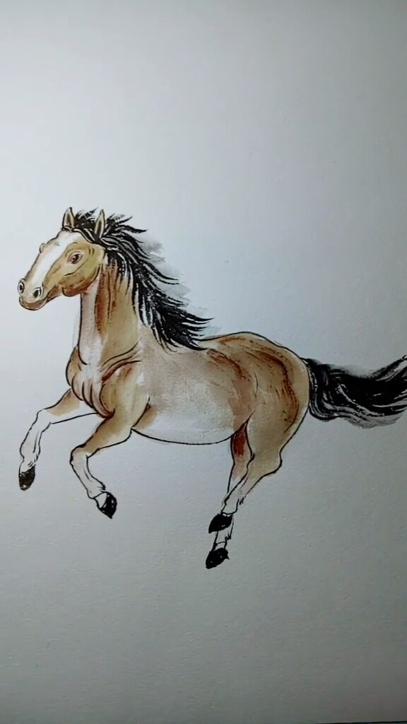 一匹出色的马绘画图片