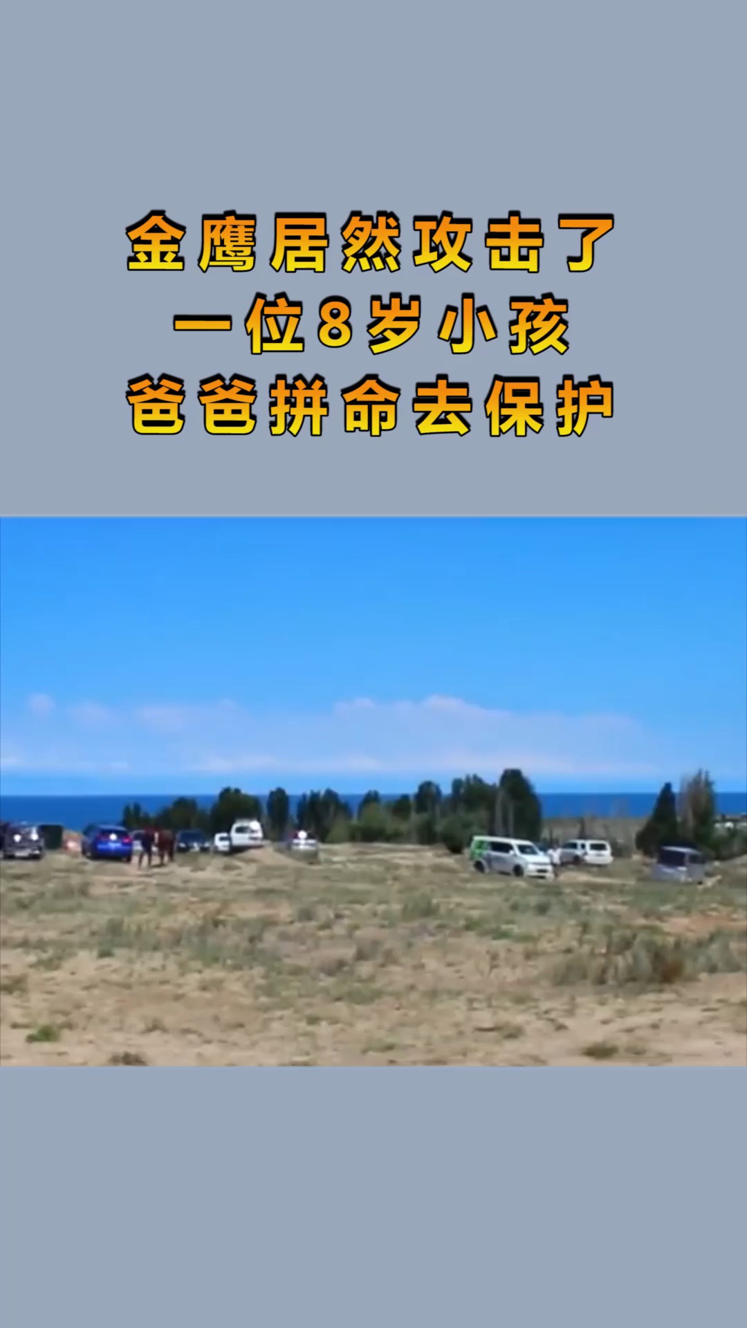 金鹰居然攻击了,一位8岁小孩,爸爸拼命去保护!