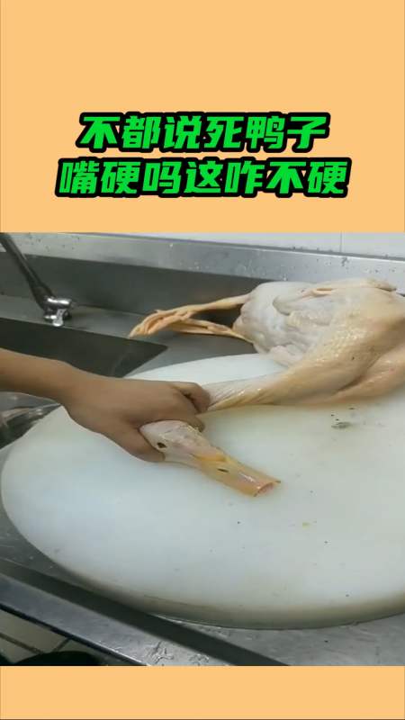 我要上热门#不都说死鸭子嘴硬吗?这咋不硬