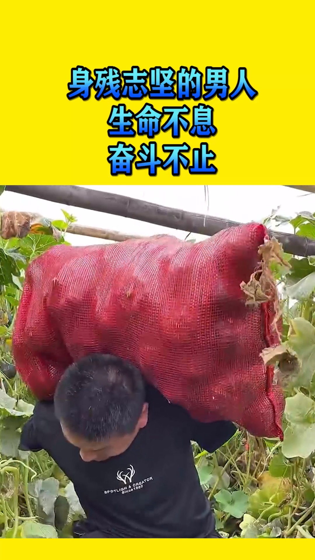搞笑视频#身残志坚的男人,生命不息,奋斗不止