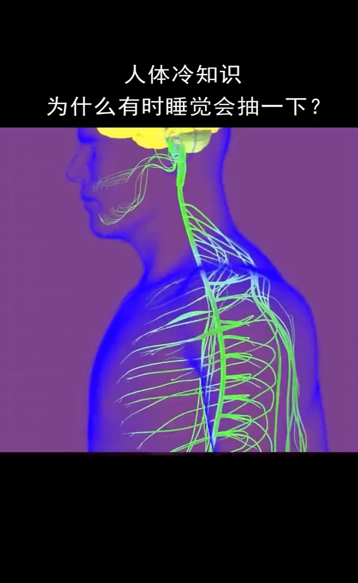 我要上热门人体冷知识睡觉时为什么会抽一下