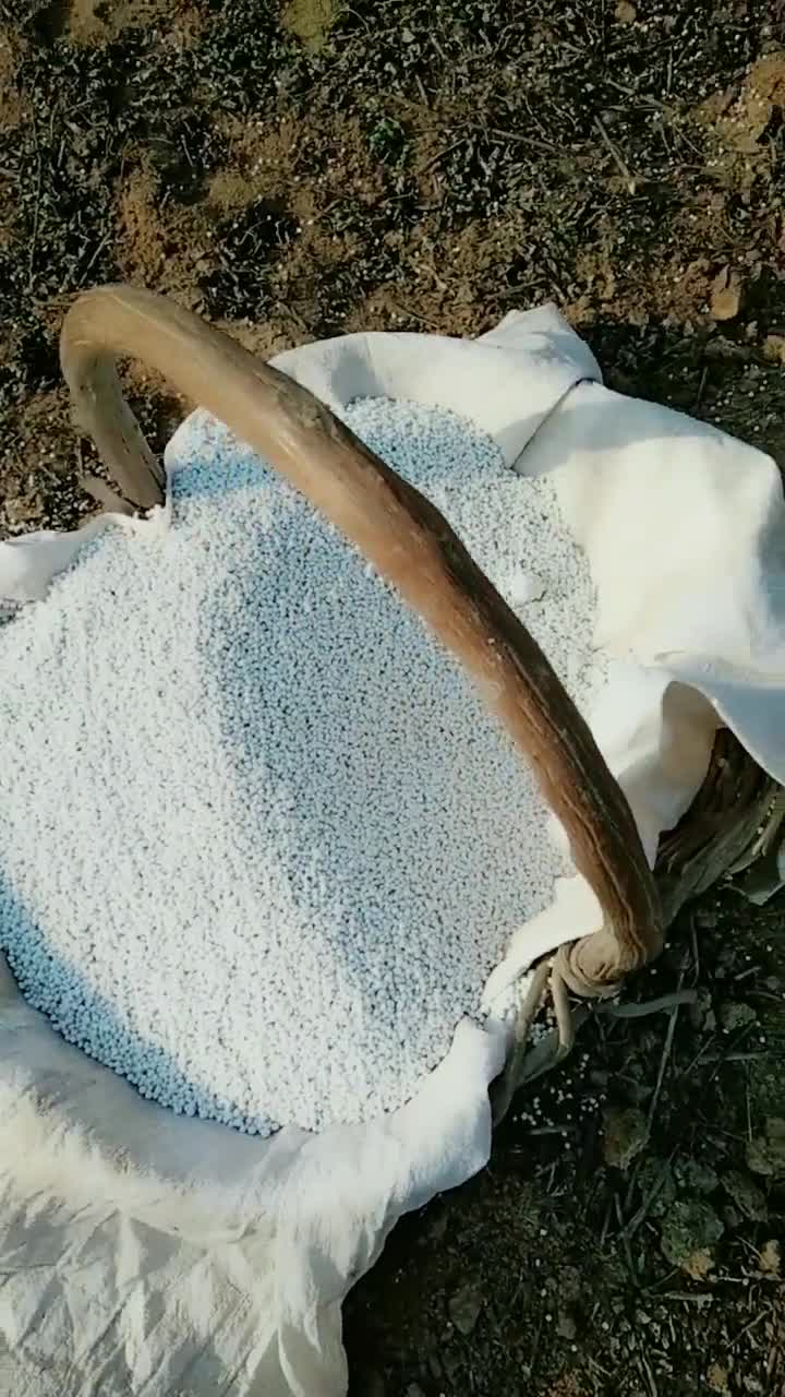 为了来年的丰收,今天开始撒化肥撒化肥