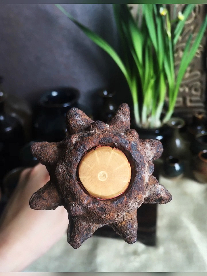 老古董#宋代兵器狼牙锤