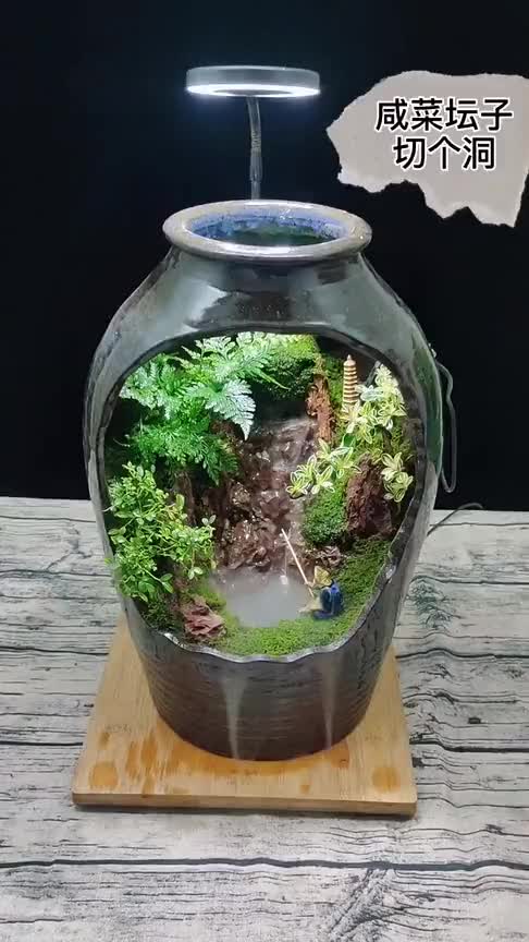 咸菜坛子做成盆景太好看了