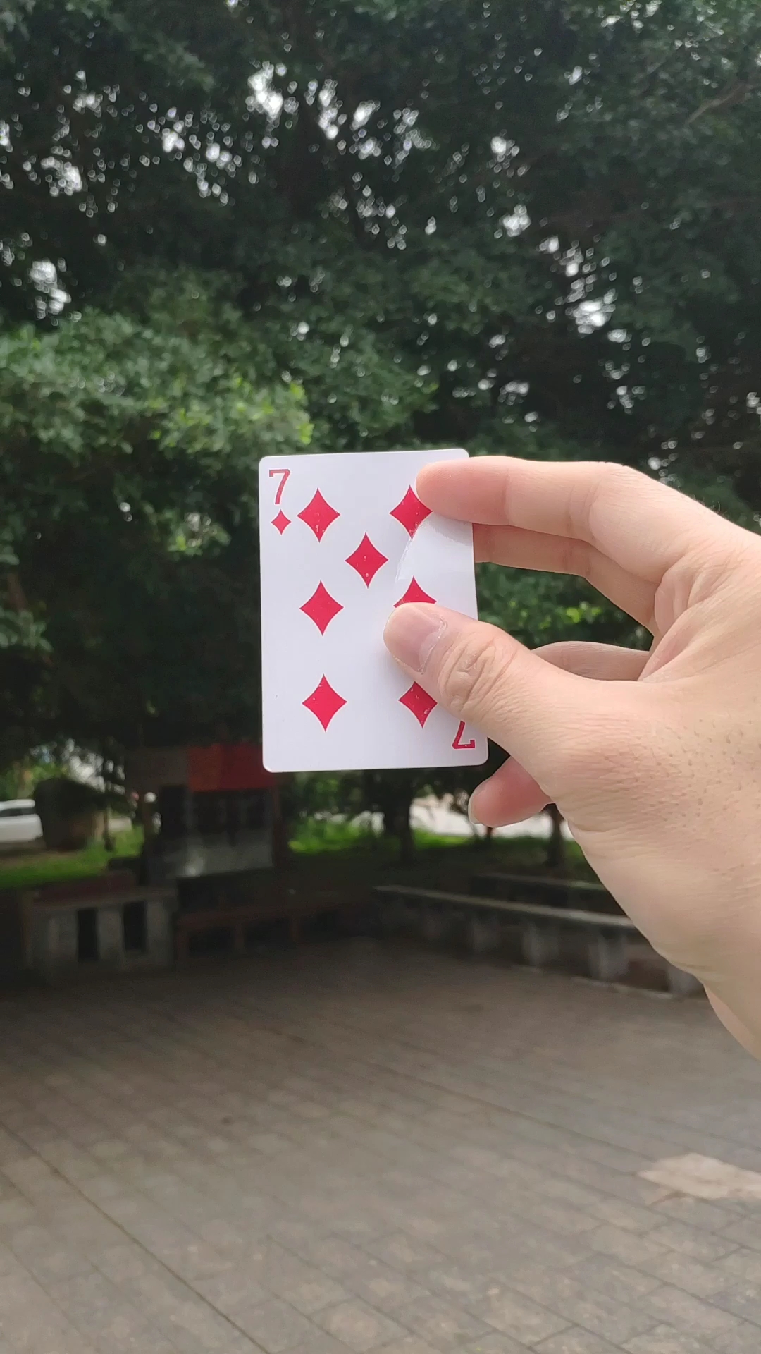 教学回旋飞牌出去十多米又飞回来