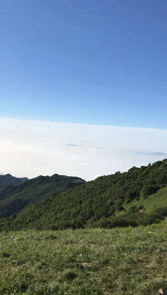 避暑好去处#海坨山云海