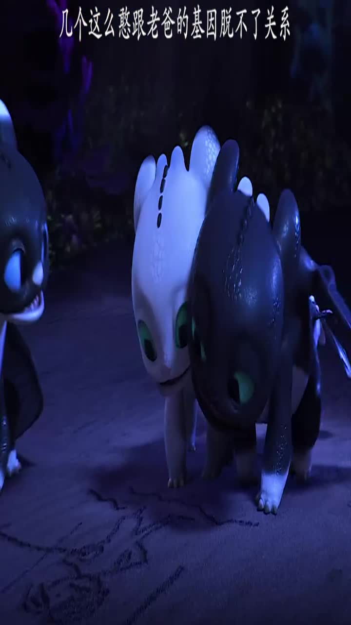 几个憨憨龙宝宝可可爱爱的驯龙高手治愈