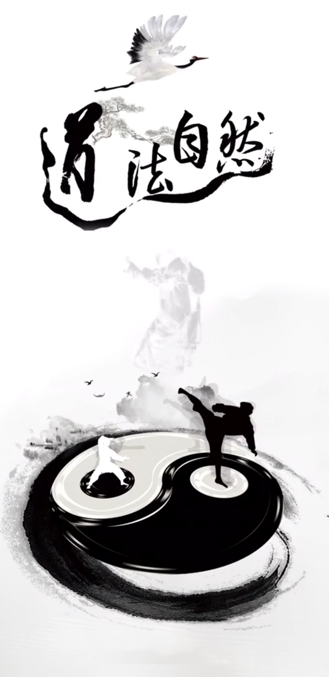武当功夫#道法自然