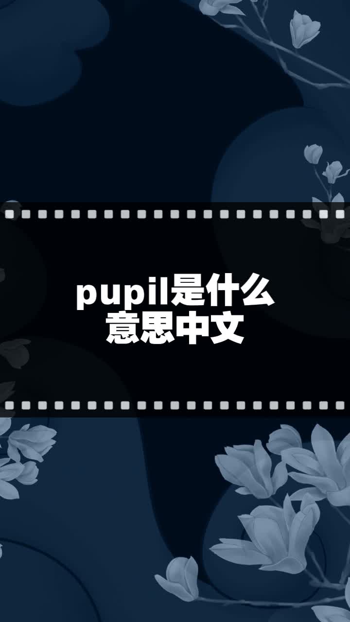 pupil是什么意思中文