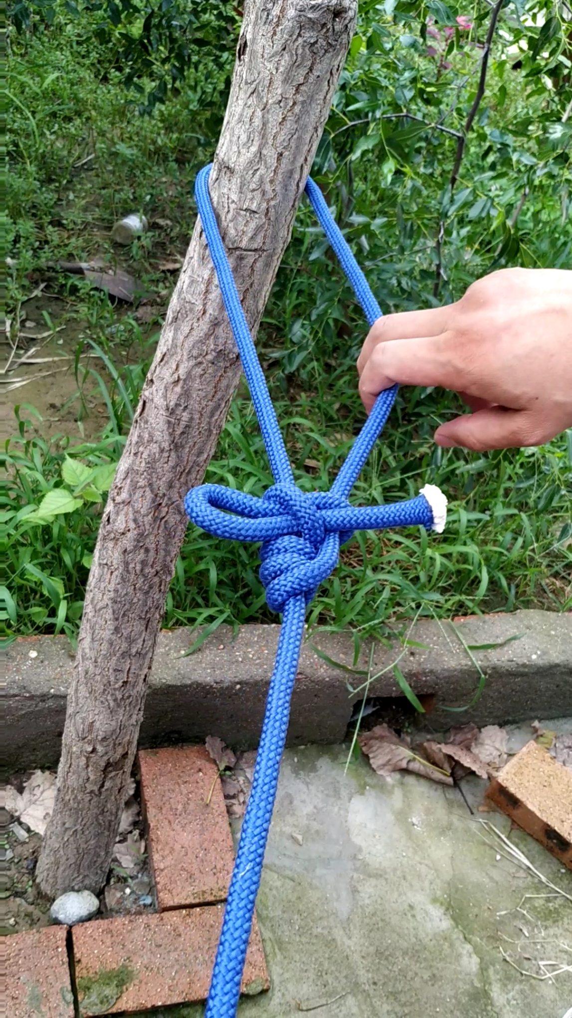 愤怒的小鸟#野外露营,拉帐篷时所需要的营钉结!