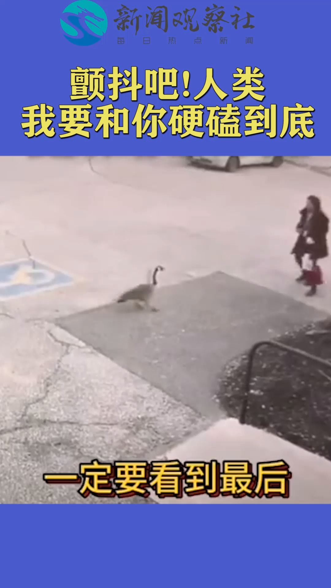 颤抖吧!人类我要和你硬磕到底