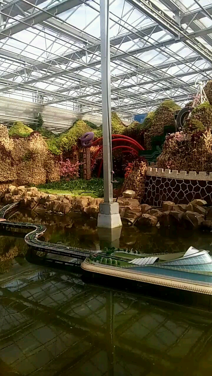 假山全部都是生姜做的