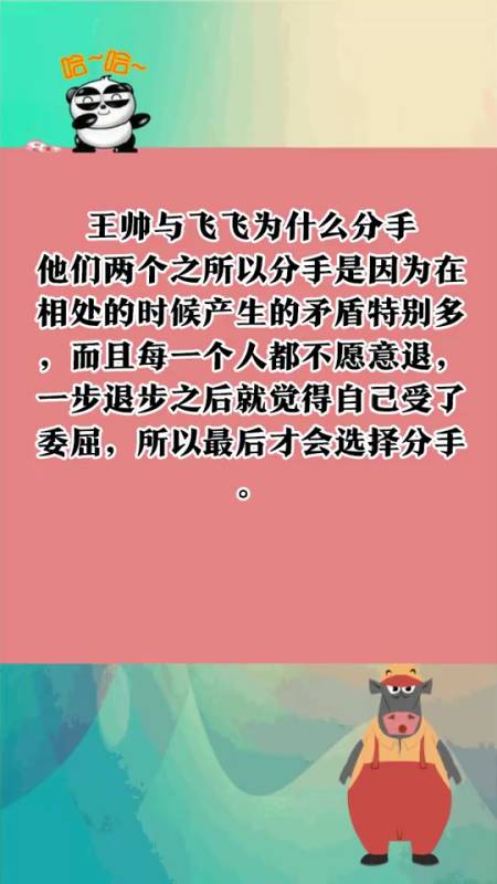 王帅的老婆现在是飞飞还是马美丽