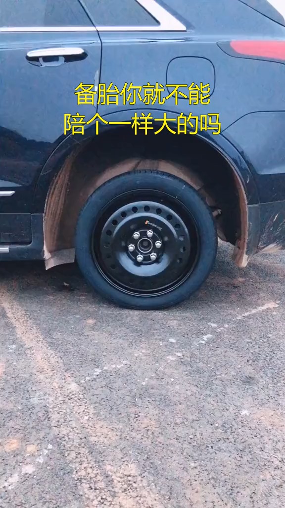 搞笑视频#备胎你就不能陪个一样大的吗