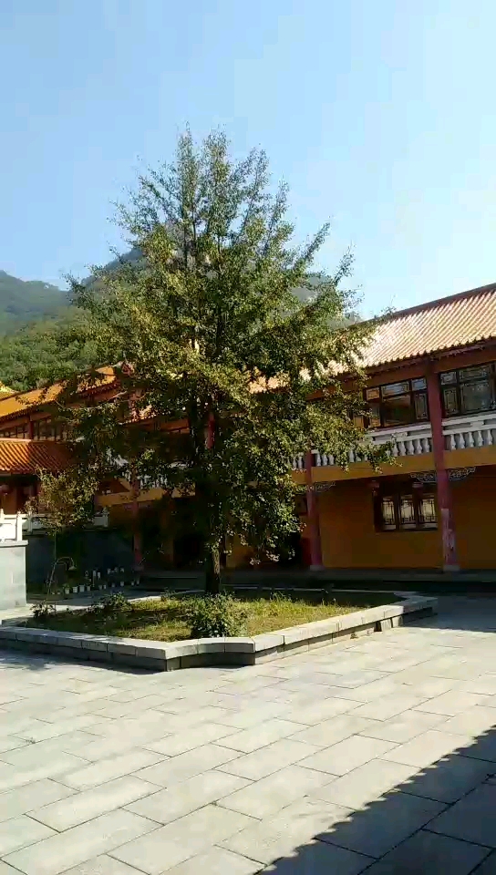 五龙山上寺庙!