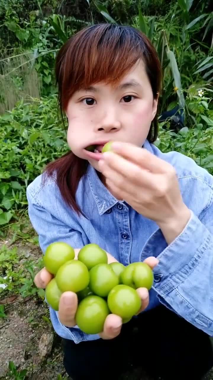 自己种的酸李子,一口可以吃2个的那种