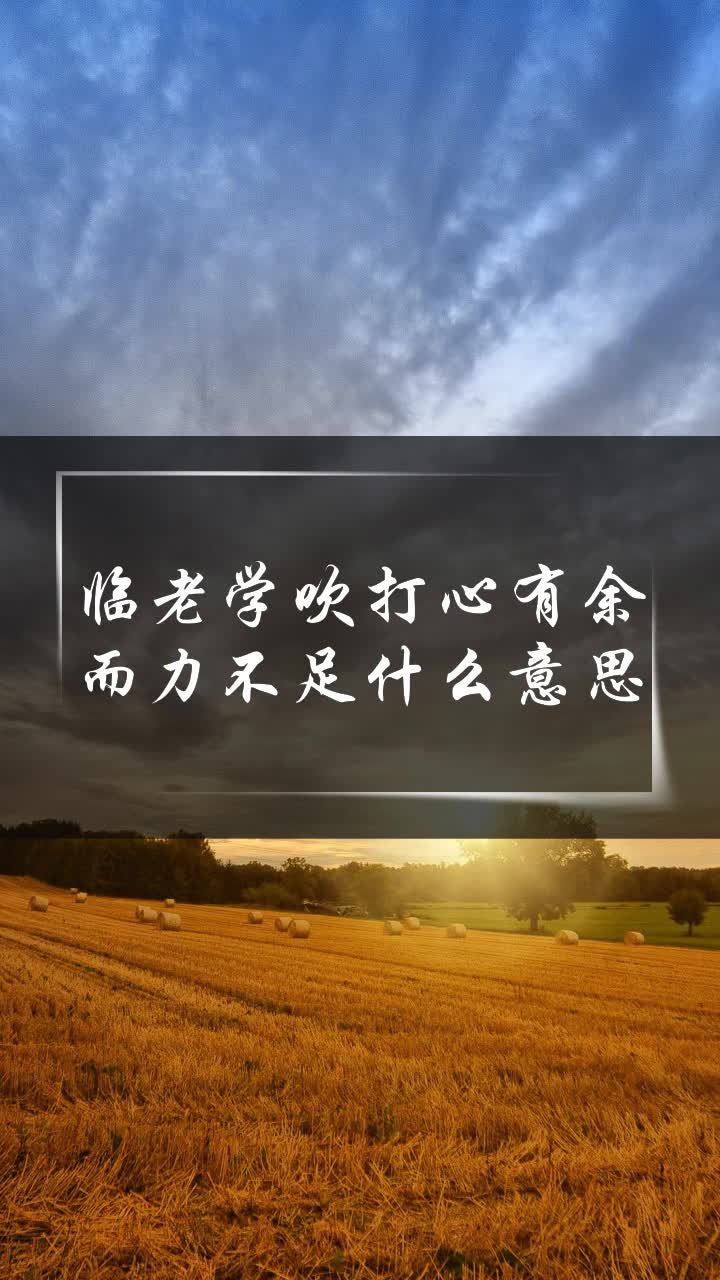 临老学吹打心有余而力不足什么意思