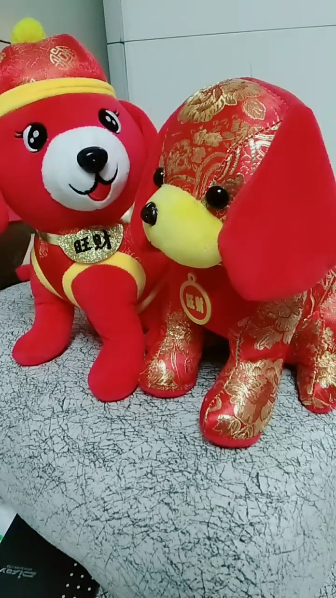 夏天就要这么过#一对可爱的小旺财狗狗,真可爱.