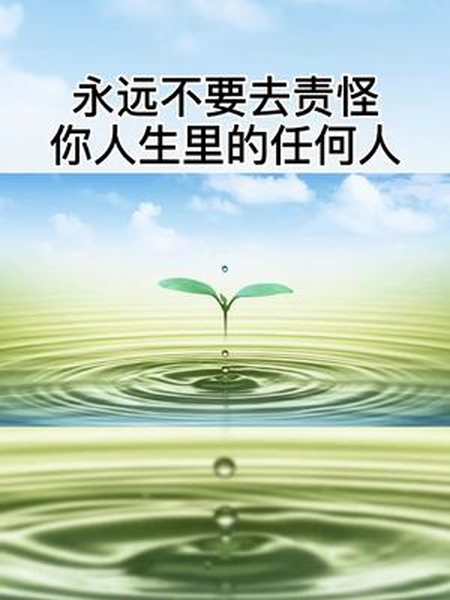 永远不要去责怪你人生里的任何人励志成长生活