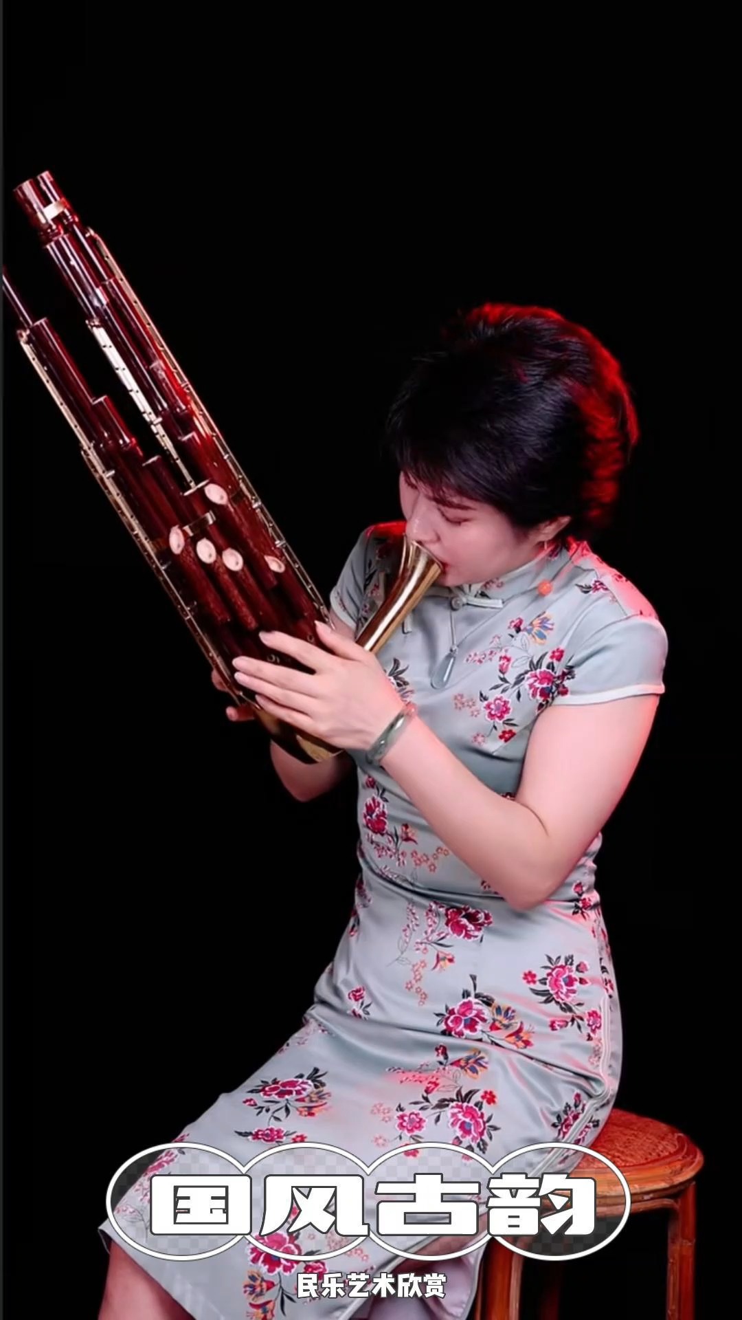 弘扬传统文化国风古韵民乐艺术欣赏民族乐器笙演奏扬鞭催马运粮忙明月