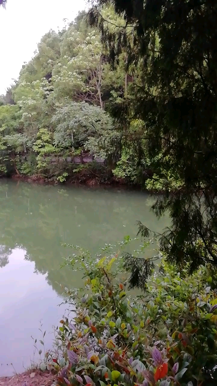 你好,夏天#大上高 鏡山廣場 來過嗎?