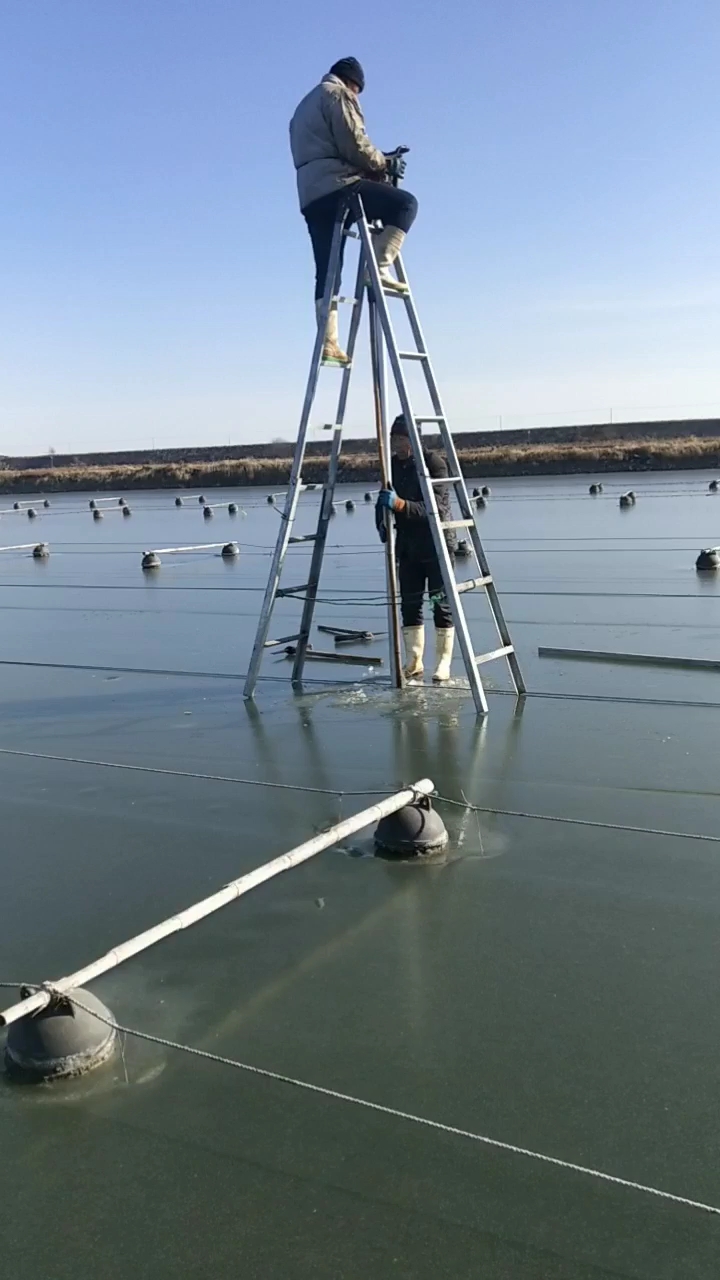 养殖海参圈在安装遮阳网,在冰上砸中间立杆