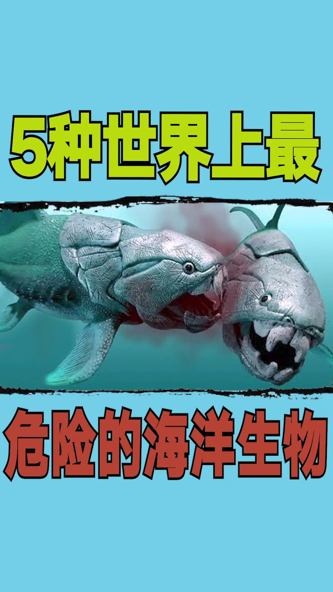海洋生物#5种世界上最危险的海洋生物