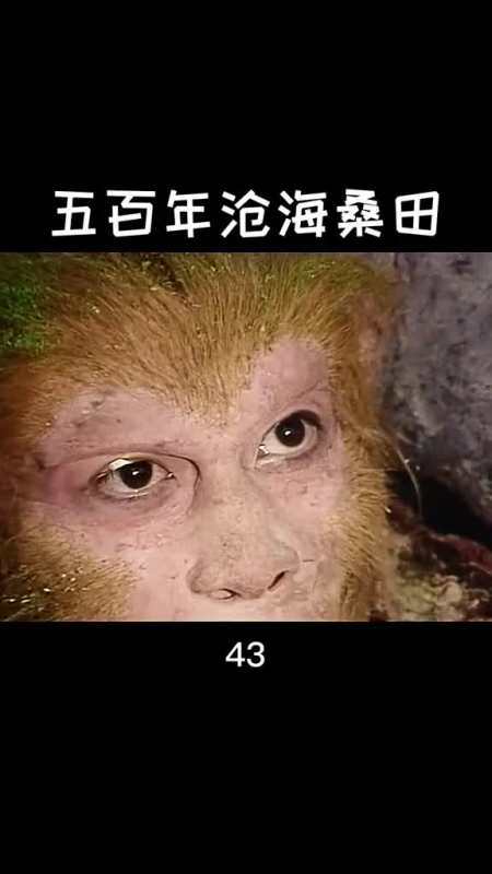 五百年沧海桑田,小时候看到这时哭的稀里哗啦,心疼猴哥