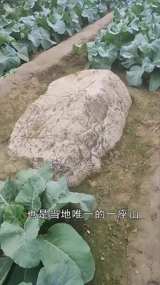 世界上最矮的山就在山东,海拔不到一米,是什么原因无人敢攀登?