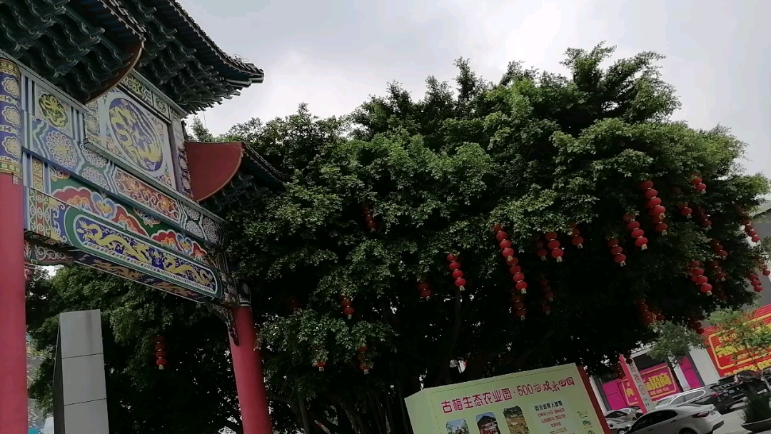 带你去旅行#东莞麻涌拈花寺门口旁的环境,你们说舒服吗?