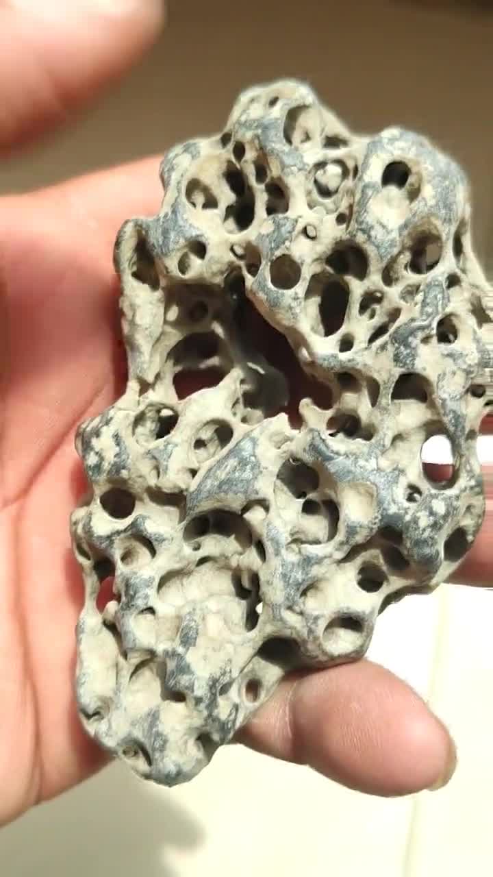这都是窟窿眼子的石头是啥,看这样子有点吓人,你见过吗