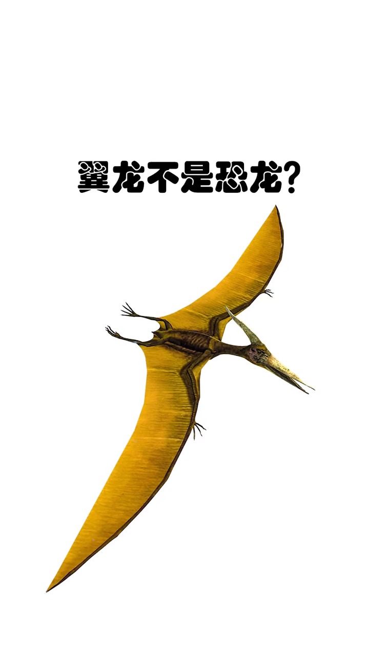 全民涨知识翼龙是恐龙吗这点我想大家都理解错了