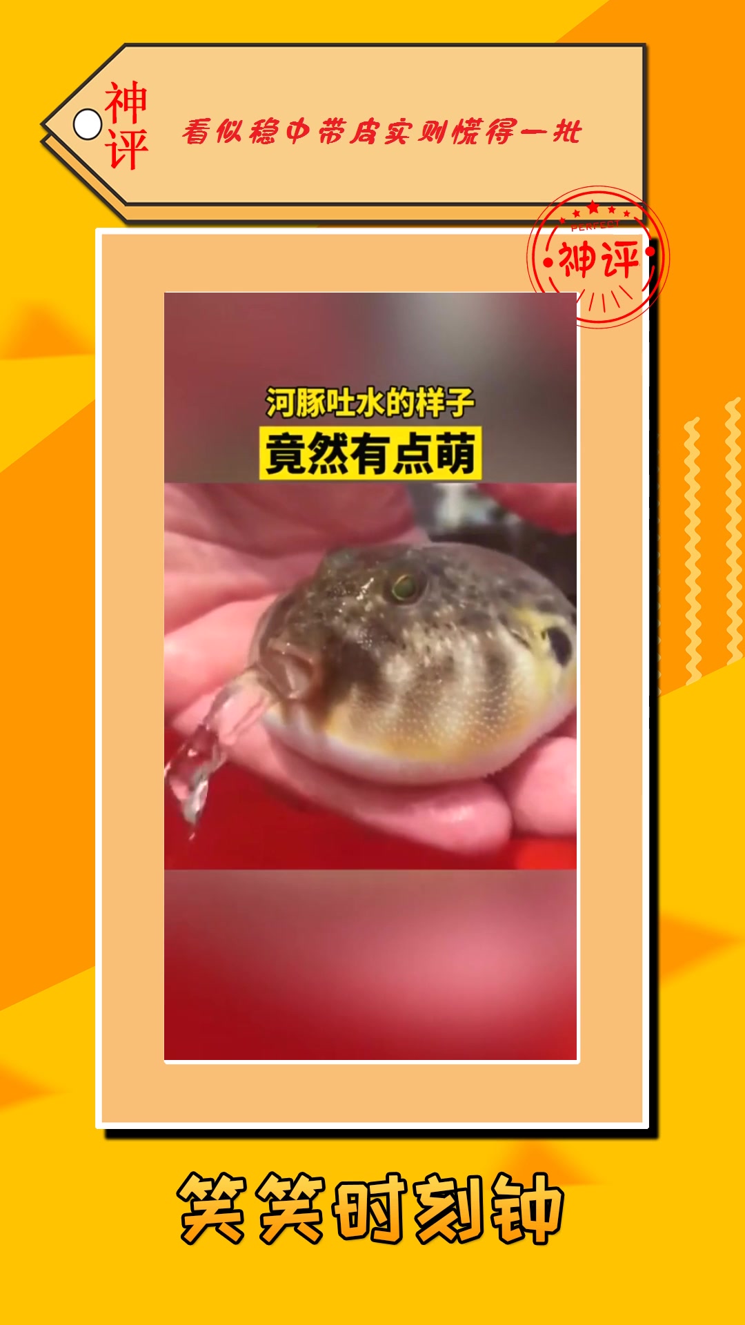 我要上热门#河豚吐水的样子,竟然有点萌!