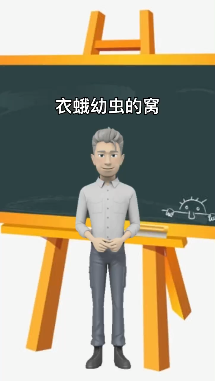 我来告诉你衣蛾幼虫的窝怎么找
